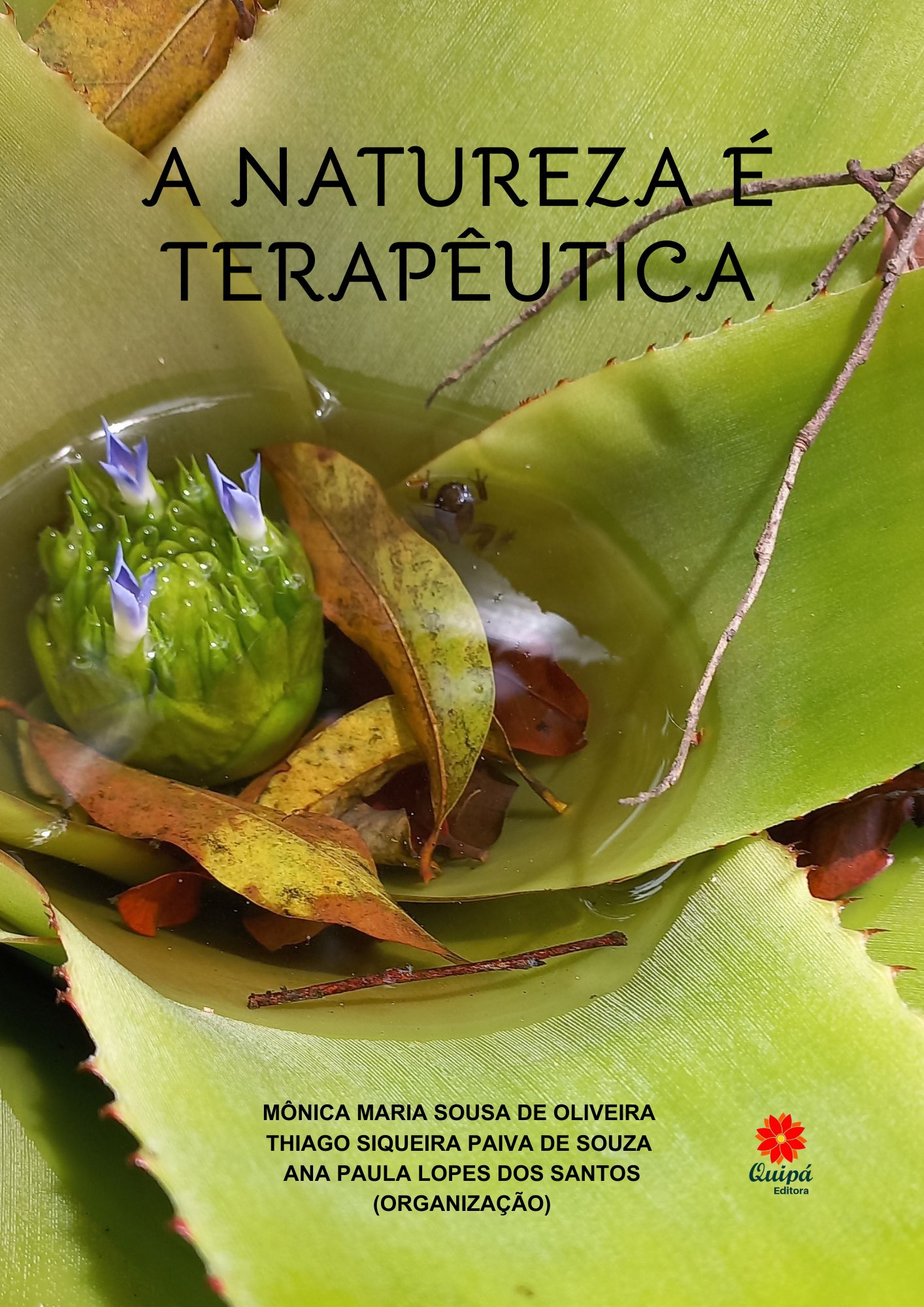 A NATUREZA É TERAPEUTICA